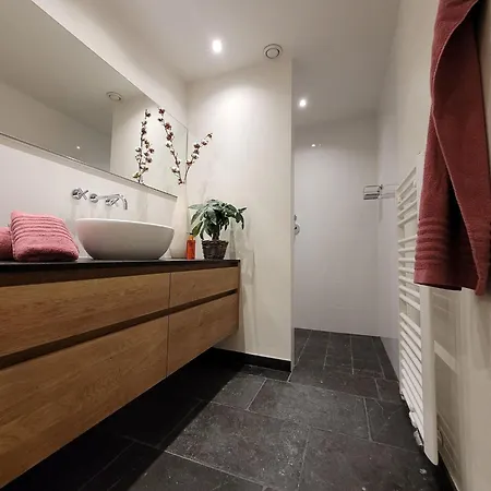 In With Infrared Sauna *