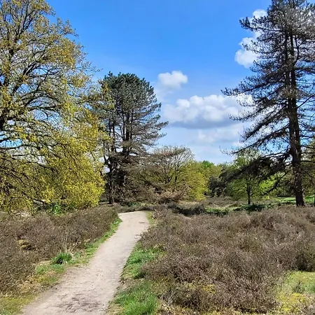 In Near War Museum And Zoo Overloon