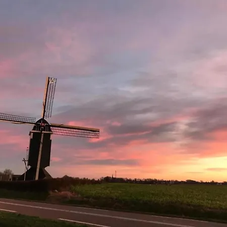 In Near War Museum And Zoo * Overloon