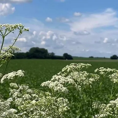 빌라 In Near War Museum And Zoo