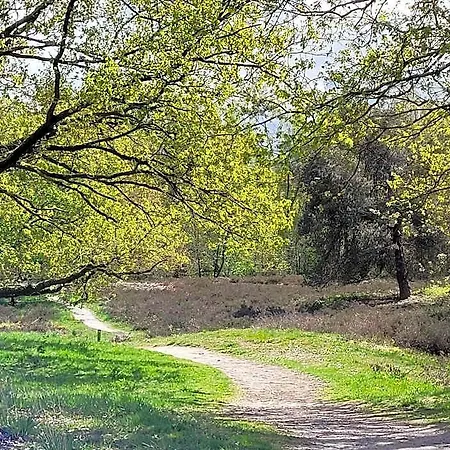 Вилла In Near War Museum And Zoo Overloon