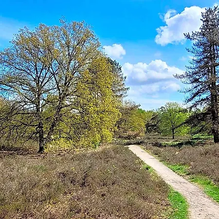 Вилла In Near War Museum And Zoo Overloon
