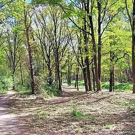 In Near War Museum And Zoo Вилла Overloon