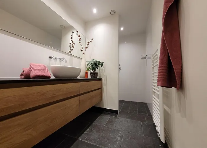 In Near War Museum And Zoo *