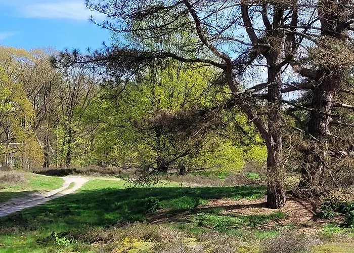 In Near War Museum And Zoo Villa *