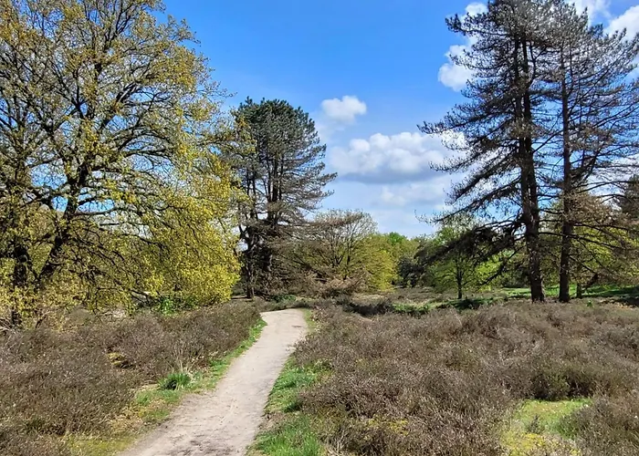 In Near War Museum And Zoo Overloon