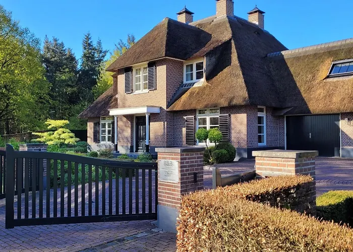 In Near War Museum And Zoo