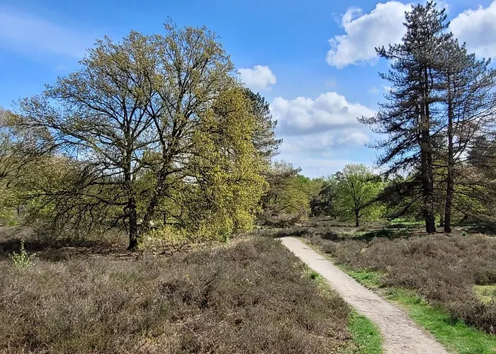 Villa In Near War Museum And Zoo Overloon