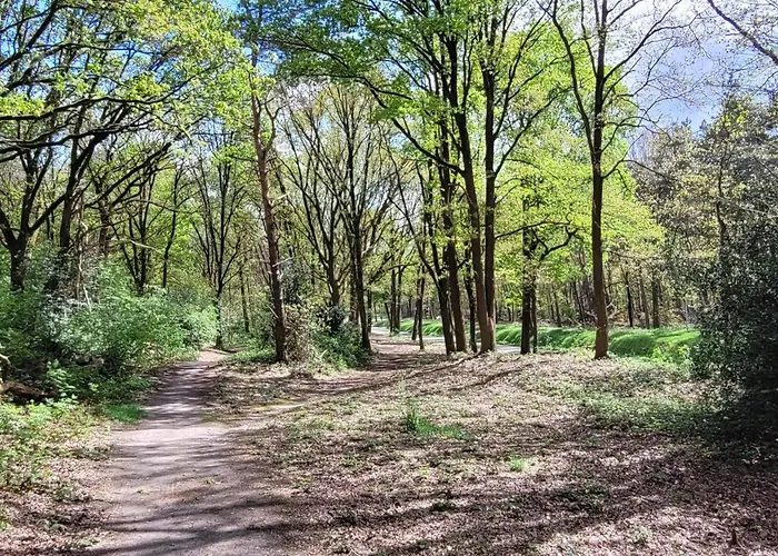 Villa In Near War Museum And Zoo Overloon