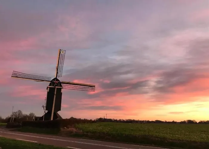 In Near War Museum And Zoo * Overloon