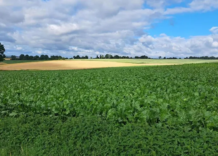 Villa In Near War Museum And Zoo *