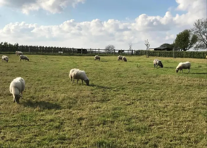 In Near War Museum And Zoo Overloon