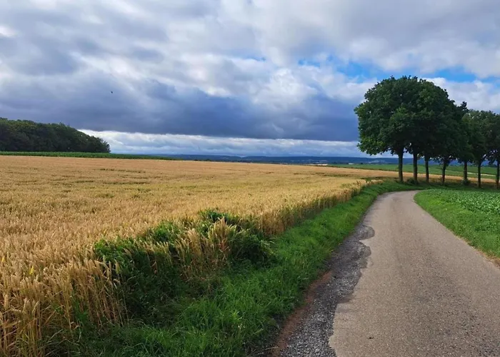 In Near War Museum And Zoo Villa *