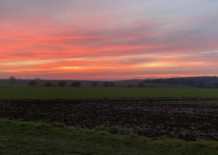 Villa In Near War Museum And Zoo *