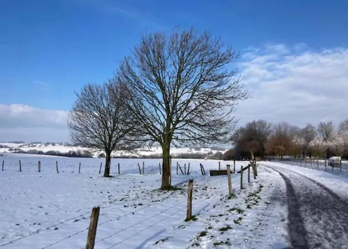 In Near War Museum And Zoo Villa *