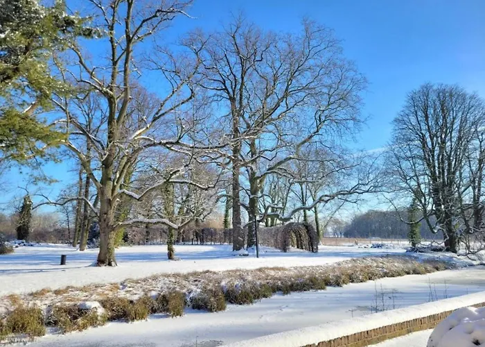 In Near War Museum And Zoo *