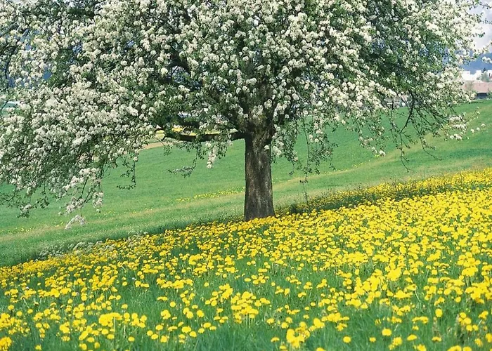 Villa In Near War Museum And Zoo *