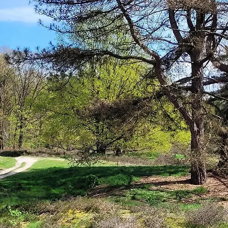 In Near War Museum And Zoo Villa *