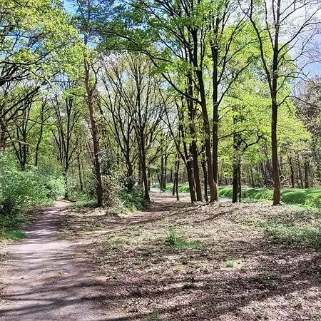 Villa In Near War Museum And Zoo Overloon