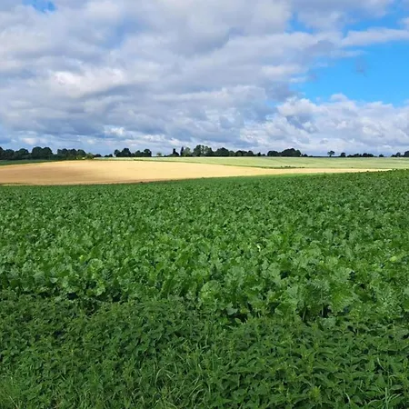 Villa In Near War Museum And Zoo *