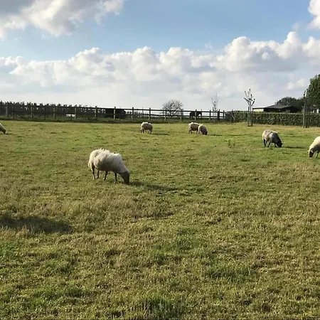 In Near War Museum And Zoo Overloon