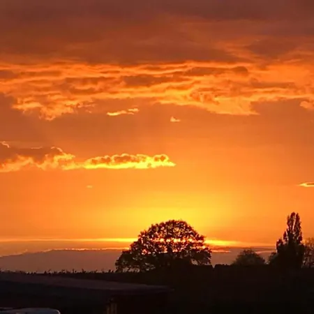 In Near War Museum And Zoo