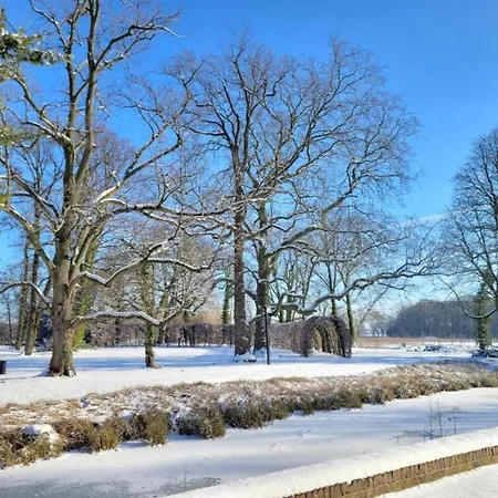 In Near War Museum And Zoo *