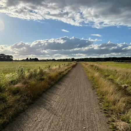 In Near War Museum And Zoo Overloon