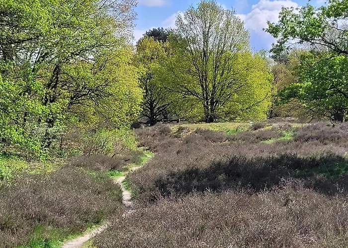 In Near War Museum And Zoo *