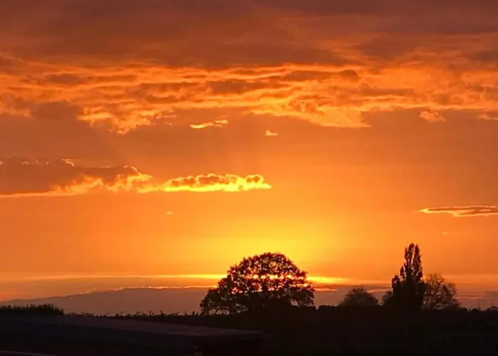 In Near War Museum And Zoo