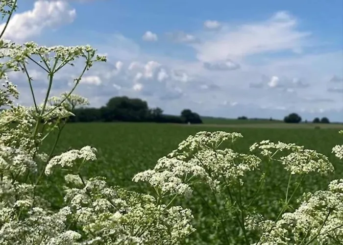 Villa In Near War Museum And Zoo